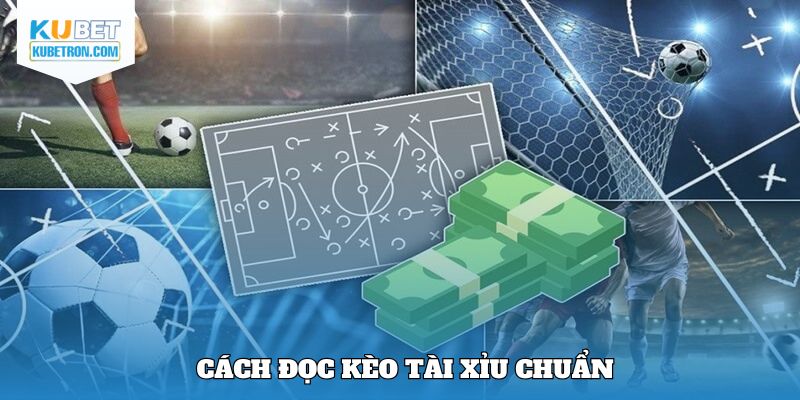 Các tỷ lệ đặt cược tài xỉu thịnh hành nhất tại KUBET