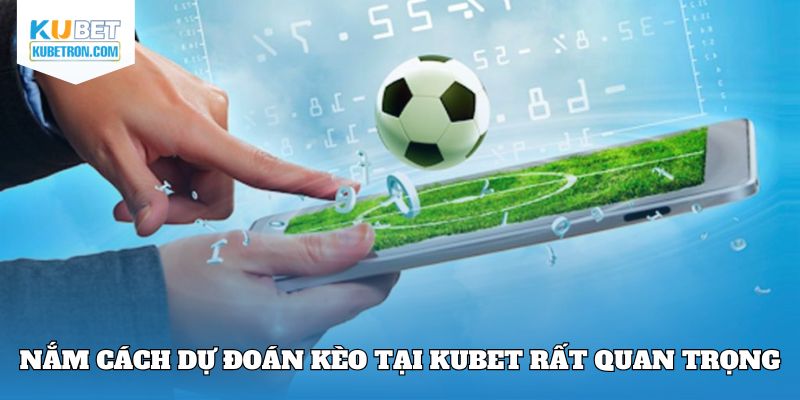 Nắm cách dự đoán kèo tại Kubet rất quan trọng