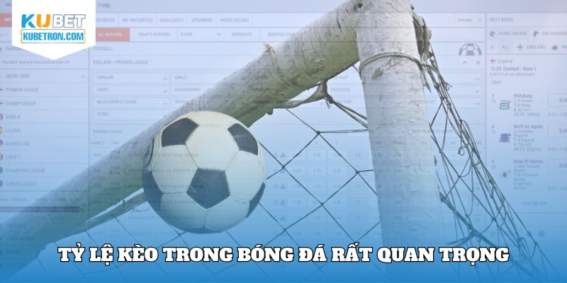 Tỷ lệ kèo trong bóng đá rất quan trọng